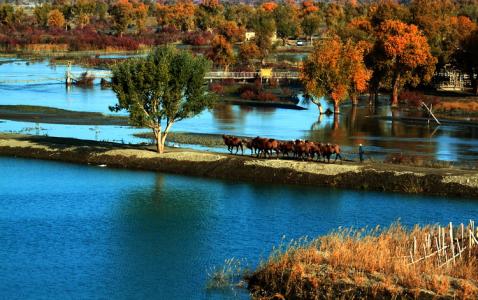 u=4079883152,4255895289&fm=23&gp=0 u=4079883152,4255895289&fm=23&gp=0