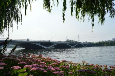 u=2619796789,2659001203&fm=23&gp=0 u=2619796789,2659001203&fm=23&gp=0