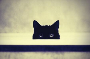 1120775016_1491701394471_title0h 1120775016_1491701394471_title0h