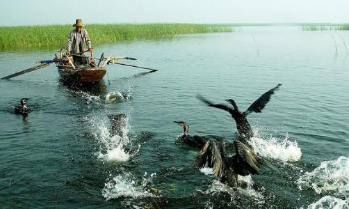 u=1358286562,2343919915&fm=23&gp=0 u=1358286562,2343919915&fm=23&gp=0