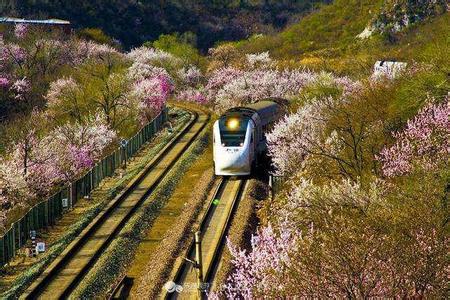 u=686439744,609242727&fm=11&gp=0 u=686439744,609242727&fm=11&gp=0