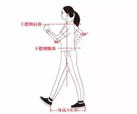 世卫组织公认的最佳运动，7个方法轻松“走”出长寿