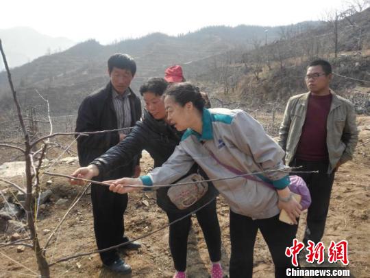 太行“愚公”之妻郭素萍续写“愚公”新篇章(图)