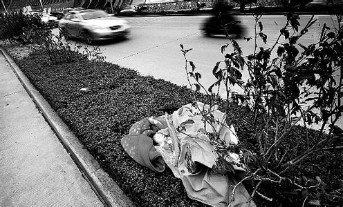 8月女婴雨天被弃2 8月女婴雨天被弃2