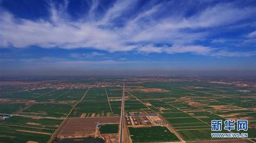 1120812515_14921712275701n 1120812515_14921712275701n