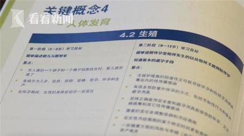 联合国教科文组织发布的《国际性教育技术指导纲要》。