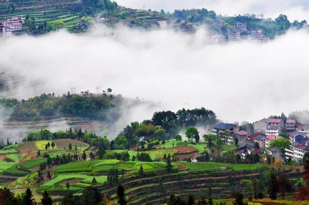 u=2232427832,217808078&fm=23&gp=0 u=2232427832,217808078&fm=23&gp=0