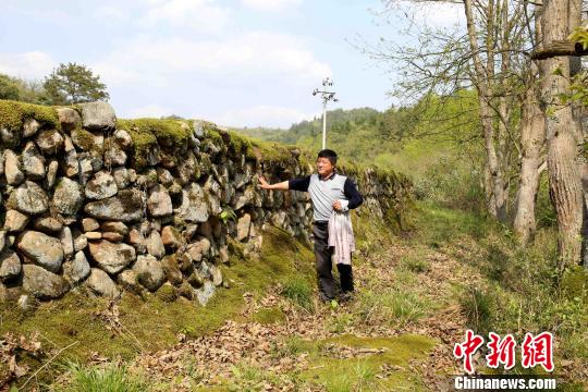 河堤长约400米，顶部宽度在60公分至100公分之间，高度约两米，由石料砌筑而成?！』埔晃?摄