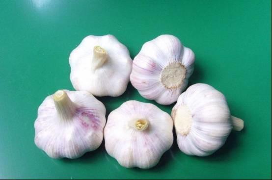 这些关于癌症的谣言你肯定听过 特别是第6个