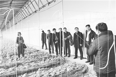 res01_attpic_brief (2) res01_attpic_brief (2)