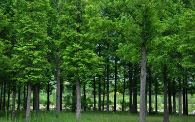 t01aa1f88ad851f65f6 t01aa1f88ad851f65f6