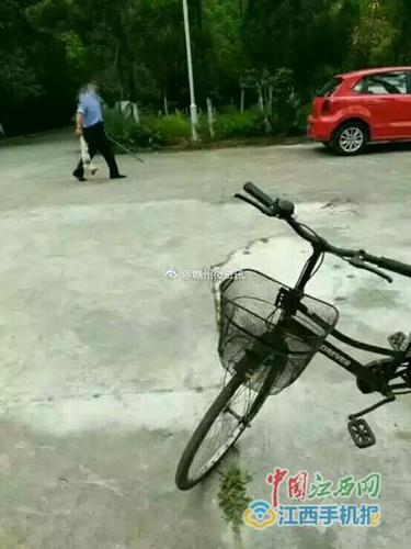 江西一中学“学霸狗”被打死 校方称影响教学秩序