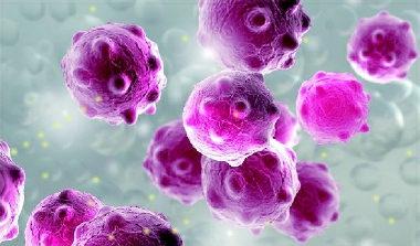 彩C2017-04-19zx501_P_1_19_2018_614_2367 彩C2017-04-19zx501_P_1_19_2018_614_2367