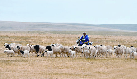 1508394806 1508394806