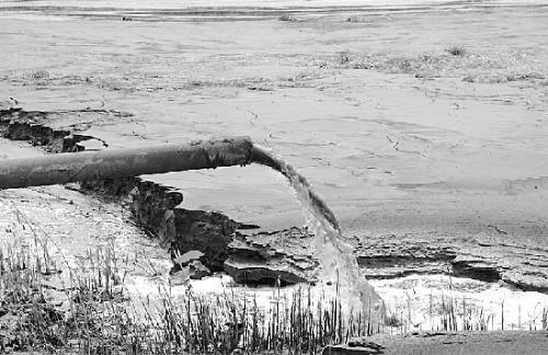 20101201130545-1259769524 20101201130545-1259769524