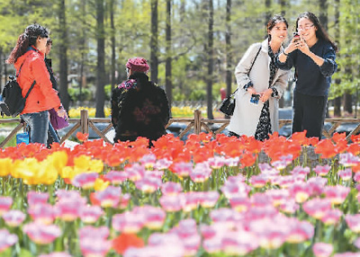 1492539653588_1 1492539653588_1