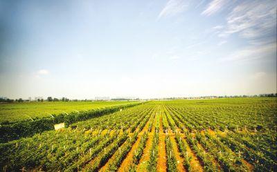 u=1144074656,2098103988&fm=23&gp=0 u=1144074656,2098103988&fm=23&gp=0