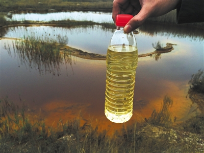 1120840322_14926441650971n 1120840322_14926441650971n