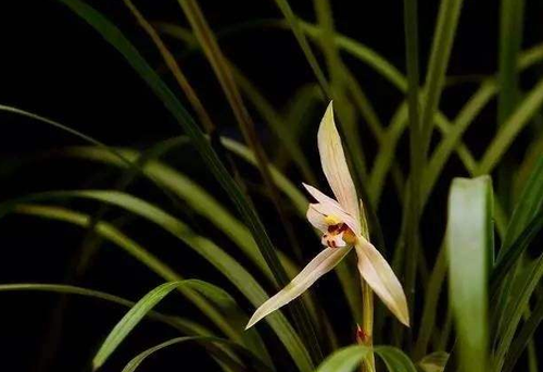 QQ截图20170420151425 QQ截图20170420151425