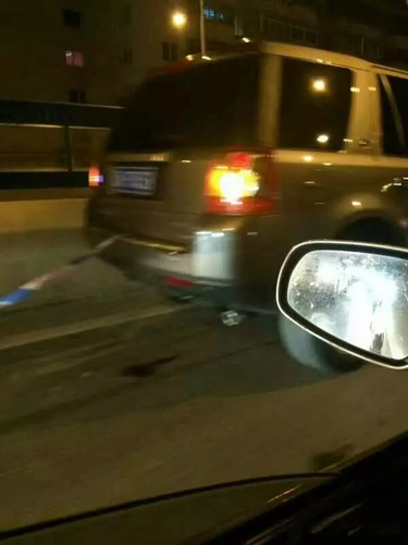 男子被传虐狗遭人肉谩骂险挨打 真相却是这样