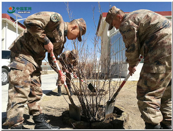 1120859182_14929467317761n 1120859182_14929467317761n