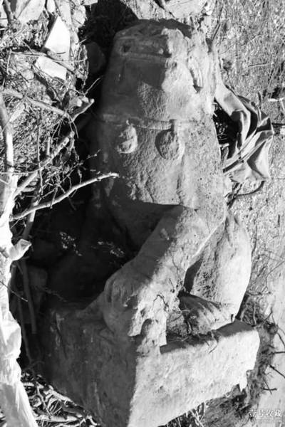 图片版权归原作者所有