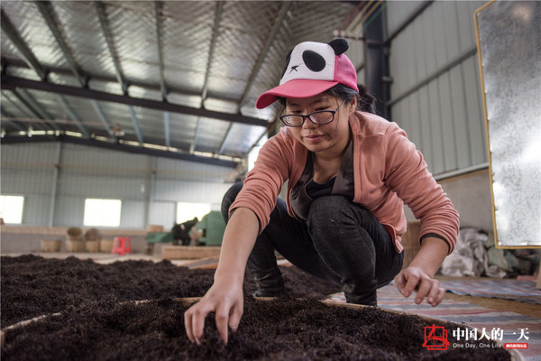 高考状元辞高薪返乡做茶3 高考状元辞高薪返乡做茶3