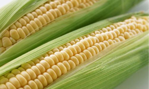 u=2257183542,49769709&fm=23&gp=0 u=2257183542,49769709&fm=23&gp=0