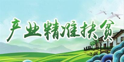 u=3826122508,3077838563&fm=23&gp=0 u=3826122508,3077838563&fm=23&gp=0