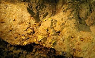 山东再探出世界级金矿2 山东再探出世界级金矿2