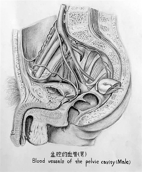 医科大学女大学生的课堂笔记 线条清晰堪比艺术绘本 医科大学女大学生的课堂笔记 线条清晰堪比艺术绘本