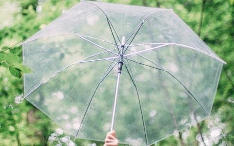 u=2099824410,1252107978&fm=23&gp=0 u=2099824410,1252107978&fm=23&gp=0