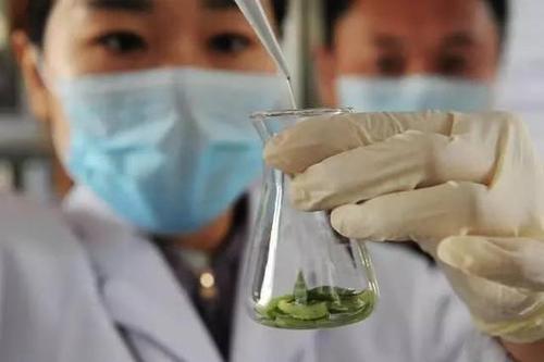 5月起，这8个消息将直接影响你的工作生活