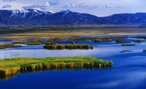 u=14954542,808056235&fm=23&gp=0 u=14954542,808056235&fm=23&gp=0