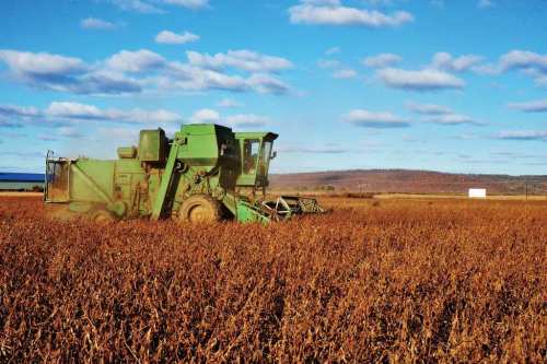 20150102_364141_w_500 20150102_364141_w_500