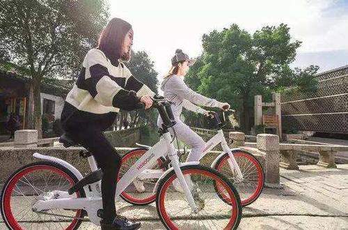 W020170502375855517252 W020170502375855517252