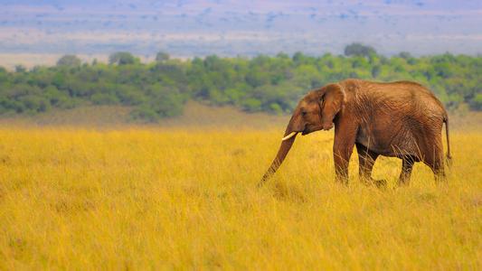 u=444193636,526234445&fm=23&gp=0 u=444193636,526234445&fm=23&gp=0