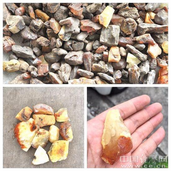 图为深圳文锦渡海关关员查获的走私琥珀原石。魏百臻摄