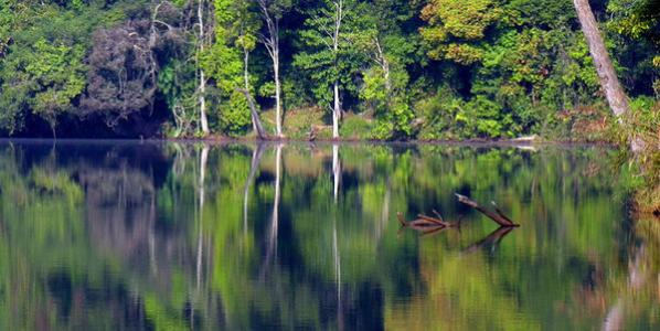 u=442166780,2272505435&fm=23&gp=0 u=442166780,2272505435&fm=23&gp=0