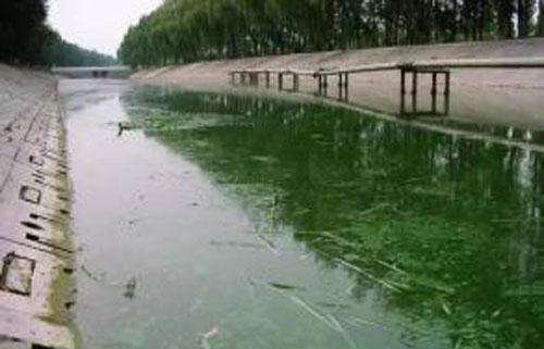 志愿者赴山东调查渗坑被打 志愿者赴山东调查渗坑被打