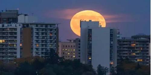 30万元保证金也不要了！杭州这些买房人反悔了