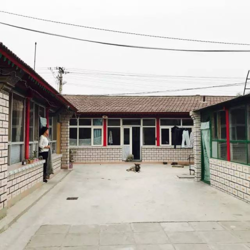 国是直通车 孙秋霞 摄