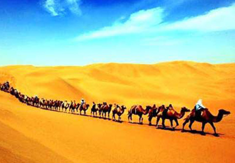 QQ截图20170505091317 QQ截图20170505091317