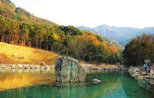 广东森林公园1351个全国最多2 广东森林公园1351个全国最多2