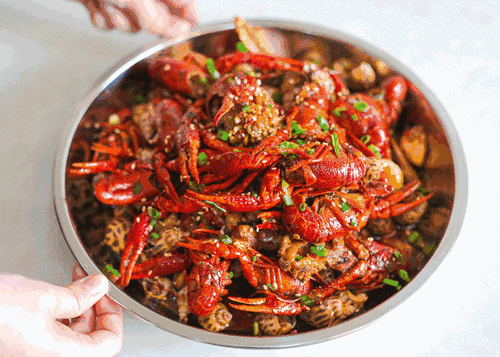 澳洲白菜价出售野生三文鱼 每年3000多吨喂龙虾