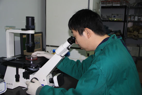 MAIN201705050822000565195516659 MAIN201705050822000565195516659