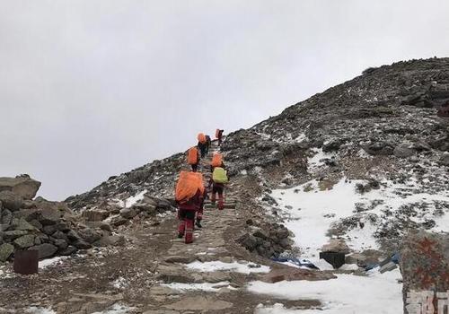 W020170508421430105855 W020170508421430105855