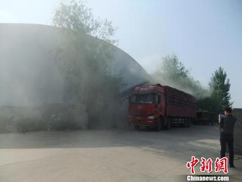 中储粮光武分库正在组织车辆将已经变质的小麦运走?！∥庋?摄