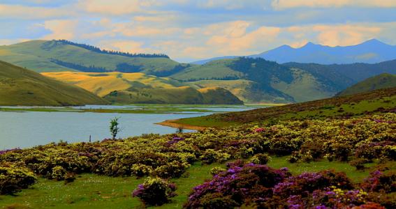 u=1241966567,421480732&fm=23&gp=0 u=1241966567,421480732&fm=23&gp=0