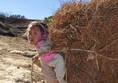 QQ截图20170510140044 QQ截图20170510140044